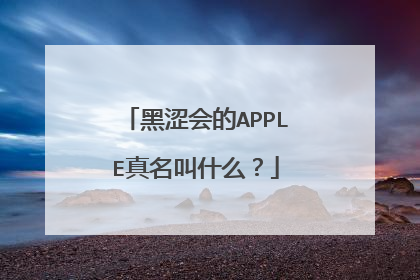 黑涩会的APPLE真名叫什么？