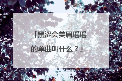 黑涩会美眉瑶瑶的单曲叫什么？