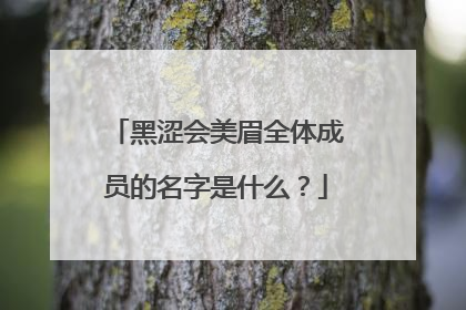 黑涩会美眉全体成员的名字是什么?