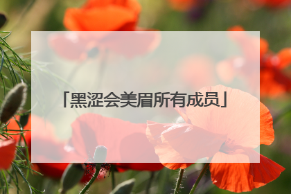 黑涩会美眉所有成员