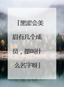 黑涩会美眉有几个成员,都叫什么名字呀