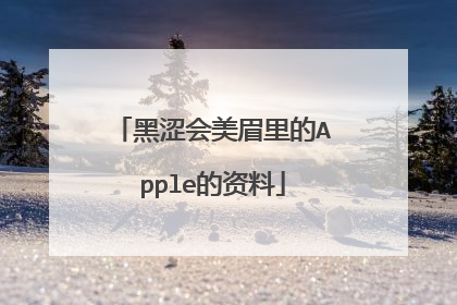 黑涩会美眉里的Apple的资料