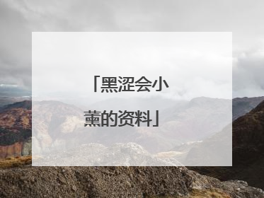 黑涩会小薰的资料