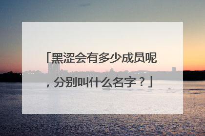 黑涩会有多少成员呢,分别叫什么名字?