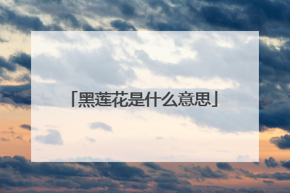 黑莲花是什么意思