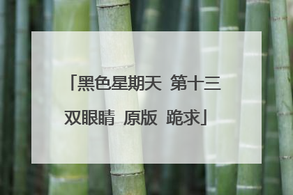 黑色星期天 第十三双眼睛 原版 跪求
