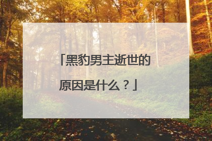 黑豹男主逝世的原因是什么？