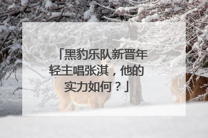 黑豹乐队新晋年轻主唱张淇,他的实力如何?