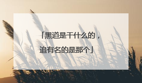 黑道是干什么的，追有名的是那个