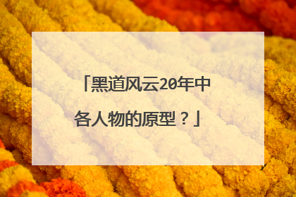 黑道风云20年中各人物的原型?