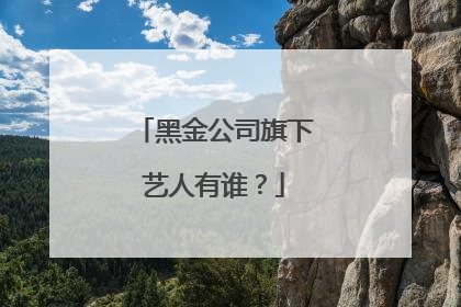 黑金公司旗下艺人有谁？