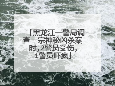 黑龙江一警局调查一宗神秘凶杀案时,2警员受伤,1警员吓疯