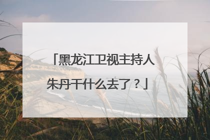 黑龙江卫视主持人朱丹干什么去了？