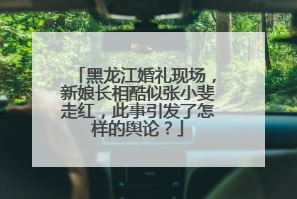 黑龙江婚礼现场，新娘长相酷似张小斐走红，此事引发了怎样的舆论？