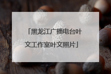 黑龙江广播电台叶文工作室叶文照片