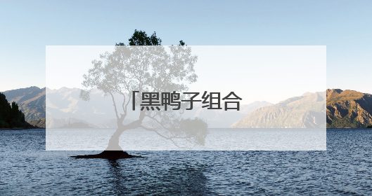 黑鸭子组合成员都有谁