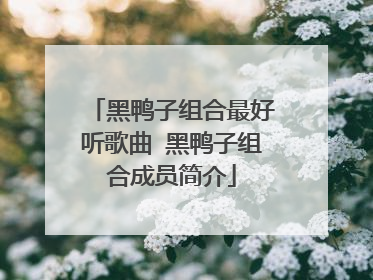 黑鸭子组合最好听歌曲 黑鸭子组合成员简介