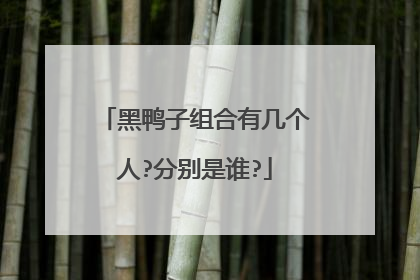 黑鸭子组合有几个人?分别是谁?