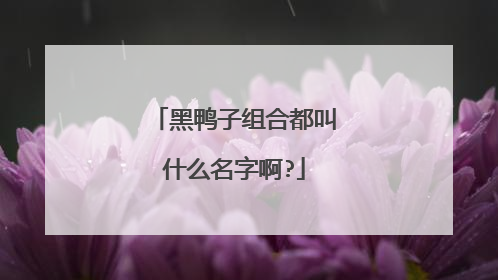 黑鸭子组合都叫什么名字啊?