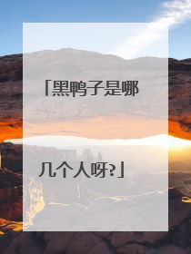 黑鸭子是哪几个人呀?