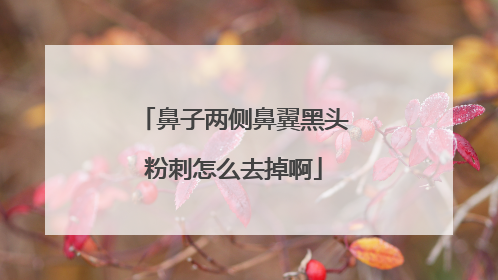 鼻子两侧鼻翼黑头粉刺怎么去掉啊