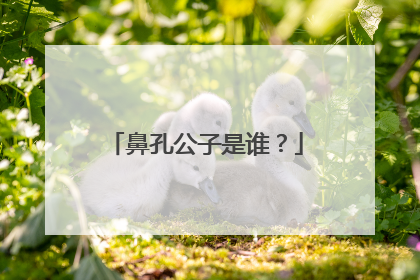 鼻孔公子是谁？