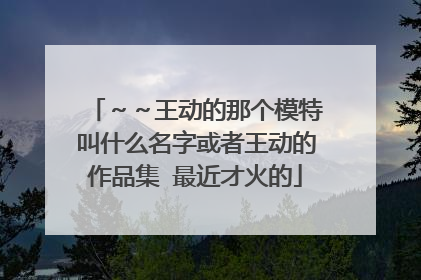 ~~王动的那个模特叫什么名字或者王动的作品集 最近才火的