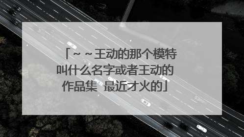 ～～王动的那个模特叫什么名字或者王动的作品集 最近才火的