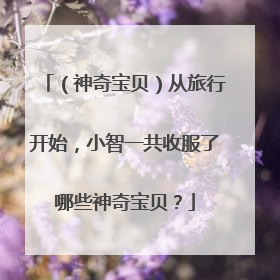 （神奇宝贝）从旅行开始，小智一共收服了哪些神奇宝贝？
