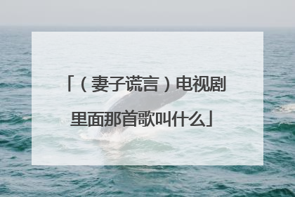 （妻子谎言）电视剧 里面那首歌叫什么