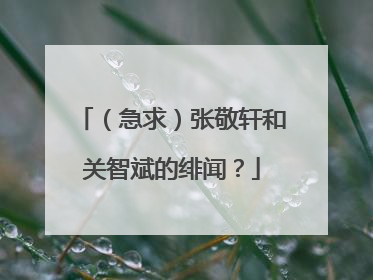 (急求)张敬轩和关智斌的绯闻?