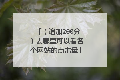 （追加200分）去哪里可以看各个网站的点击量