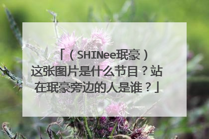 （SHINee珉豪）这张图片是什么节目？站在珉豪旁边的人是谁？