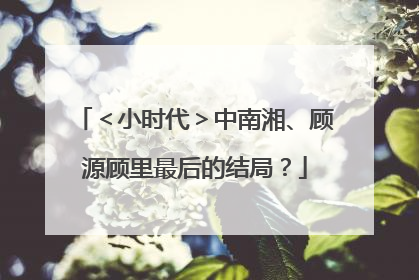 ＜小时代＞中南湘、顾源顾里最后的结局？