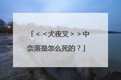 ＜＜犬夜叉＞＞中奈落是怎么死的？