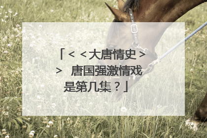 ＜＜大唐情史＞＞ 唐国强激情戏是第几集？