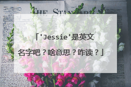 'Jessie'是英文名字吧?啥意思?咋读?