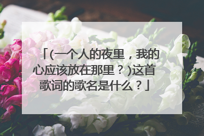 (一个人的夜里，我的心应该放在那里？)这首歌词的歌名是什么？