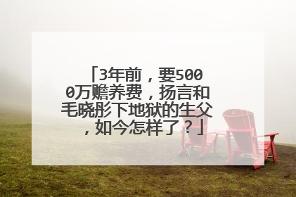3年前，要5000万赡养费，扬言和毛晓彤下地狱的生父，如今怎样了？