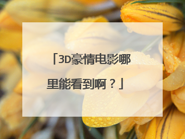 3D豪情电影哪里能看到啊？
