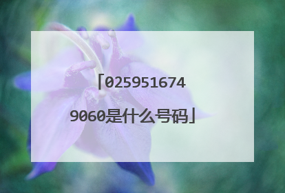 0259516749060是什么号码