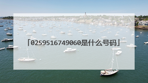 0259516749060是什么号码
