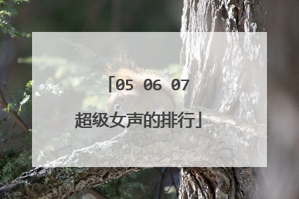 05 06 07超级女声的排行