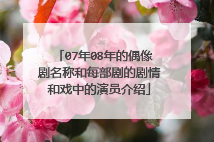07年08年的偶像剧名称和每部剧的剧情和戏中的演员介绍