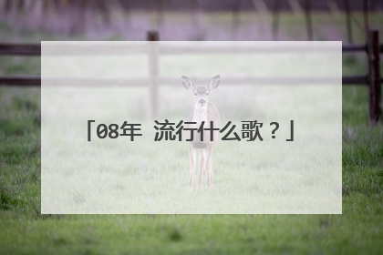 08年 流行什么歌？