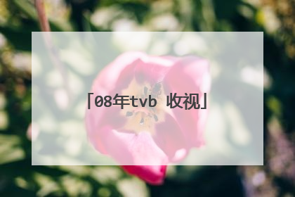 08年tvb 收视