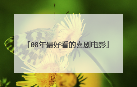 08年最好看的喜剧电影
