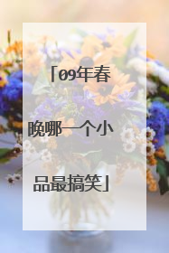 09年春晚哪一个小品最搞笑