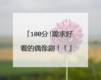 100分!跪求好看的偶像剧!!