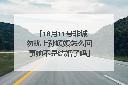 10月11号非诚勿扰上孙媛媛怎么回事她不是结婚了吗